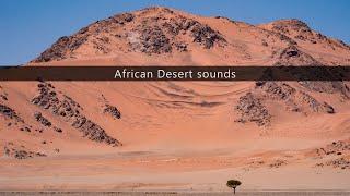 African Desert sound effects library