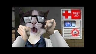 Cat Half Life SFX Memes