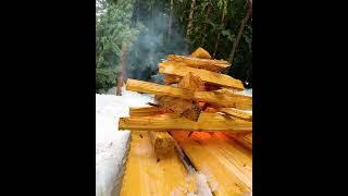 Bushcraft Survival Shelter for Snowy Winter Camping #camping #survival #vlog #bushcraftsurvival