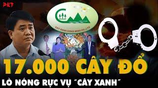 17.000 CÂY XANH ĐỔ sau bão Yagi: Ngẫm vụ Nguyễn Đức Chung đến “NÓNG LÒ” cty CÂY XANH CÔNG MINH