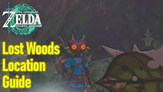 Zelda Tears of the Kingdom Lost Woods location guide, how to enter lost woods walkthrough