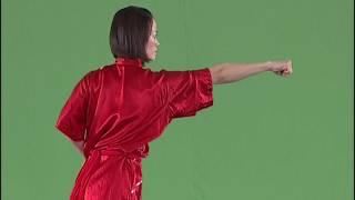 Changquan long fist hand forms and hand techniques - modern wushu taolu