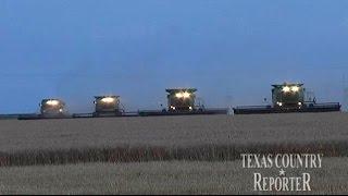 Davis Family Wheat Farm (Texas Country Reporter)