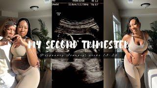 SECOND TRIMESTER VLOG | pregnancy journey, genetic testing, ultrasound, midwife + more