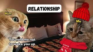2 Cat talking Funny relationship memes