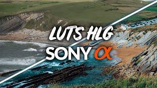 LUTS HLG para Cámaras Sony Alpha | A7III A6400 A6600