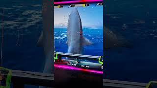 Wicked tuna arcade game winning #fishing #fishinggame #arcadegames #daveandbusters #gaming #winning