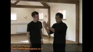 Wing Chun Spade Hand, Chann Sau