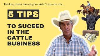 High Prices Have Piqued Interest in Cattle. Here's Some Things to Know!