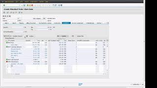 SAP S4 HANA Sales Order Item Pricing Tab