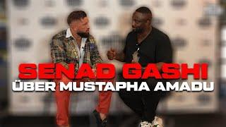 Senad Gashi x Manuellsen Interview