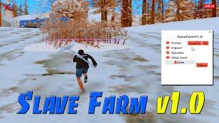 SLAVE FARM 1.0 - БОТ НА ФЕРМУ ЛЬНА И ХЛОПОКА ДЛЯ ARIZONA RP / ФАРМИМ ВИРТЫ БОТОМ В GTA SAMP