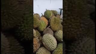 Durian Murah, Enak