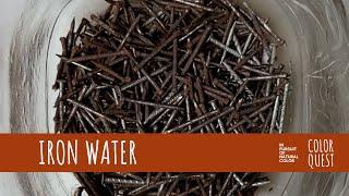 HOW TO MAKE IRON WATER TO SHIFT NATURAL DYE COLOR | ORGANIC COLOR | MODIFIER & MORDANT