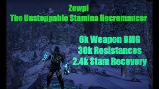 OVERPOWERED STAMINA NECROMANCER l The Best StamCro l INSANE BURST AND SUSTAIN Markarth ESO