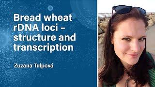 Bread Wheat rDNA Loci – Structure and Transcription | The Plant Genome Webinar