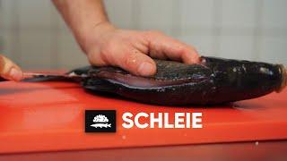 Schleie | Filetieren und Schröpfen XXL | Fisch und Grips