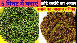 छोटेकरोंदेंकाअचार | 5 मिनट में youtube per viral honewali video |KarondaKaAcharRecipe @GrahanyGarden