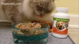 Best Probiotics for Cats: Only Natural Pet Probiotic Blend Product Review - Floppycats