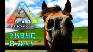 Эквус | Конь | Особенности, приручение | ARK Survival Evolved