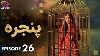 Pakistani Drama | Pinjra - Episode 26 | Aplus Gold | Yumna Zaidi, Nauman Aijaz | CZ1O