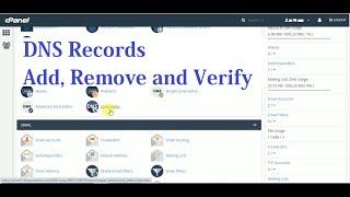 How to add and verify DNS records | How to update DNS records in CPanel | #DNS Records in #cPanel