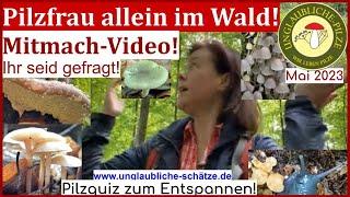 Pilzfrau allein im Wald - Pilzquiz Mitmach video! Ihr seid gefragt! Was macht der Hauswald?