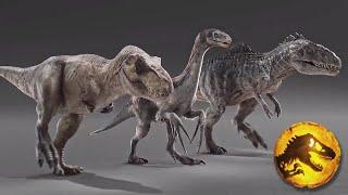 Dinosaur Size comparison | Jurassic World Dominion Mattel- Giganotosaurus & Other Dinos