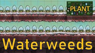 Oxygen Not Included - Plant Tutorial Bites - Waterweeds