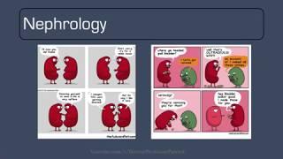 Doctor Professor Patrick- Internal Medicine Review Part 3: Nephrology Acid/Base and Electrolytes