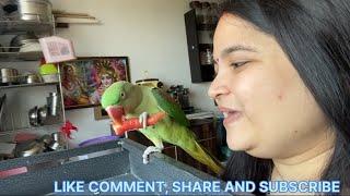 Parrot ko kya Khanna, pasand Hota Hai !! Sona mona ye bahot man se khate he #sonaliparrot