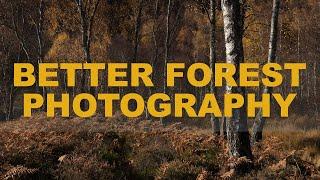 5 TIPS for better FOREST photography