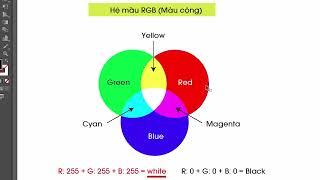 TÌM HIỂU VỀ HAI HỆ MÀU RGB VÀ CMYK TRONG THIẾT KẾ VÀ IN ẤN