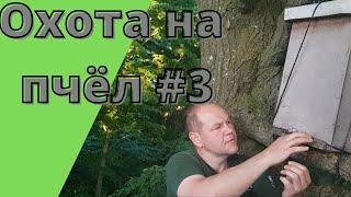 ОХОТА НА ПЧЕЛ # 3