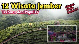 12 Tempat WISATA JEMBER Terbaru 2024, Rekomendasi Liburan Keluarga Tercinta, Wisata Jember Viral