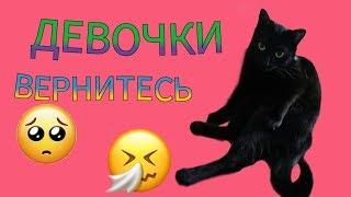 КОШКА ЖДУН // ДЕВОЧКИ ВЕРНИТЕСЬ // Uni Ксю