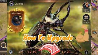 How to upgrade your level 19 insect into level 20, explained || The Ants Underground Kingdom