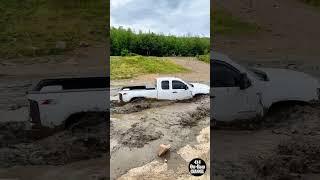 GMC Sierra MUDDING Off Road 4x4!!! #youtubeshorts #offroading #gmcsierra