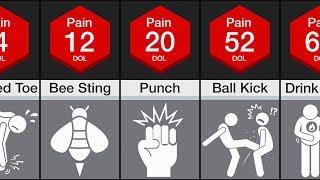 Comparison: Human Pain