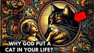 Why Did God Put a CAT In Your Life? The Spirituality of Cats