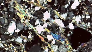 Muscovite Showing Birdseye Extinction in Thin Section