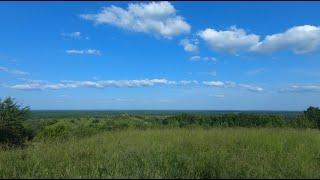 Natural Serenity: Landscapes, Swaying Grass, Birdsong