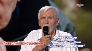 Песня "Седые мужчины" в программе "Песни от всей души". Поёт Анатолий Грибушенков ️