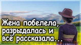 Сказал всё жене и показал документы... | Истории из жизни | Интересные истории