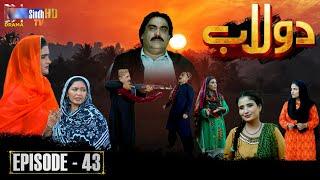 Dolaab | Episode 43 | Soap Serial | SindhTVHD Drama