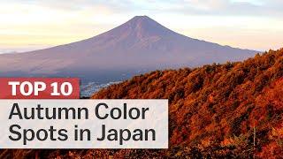 Top 10 Autumn Color Spots in Japan | japan-guide.com