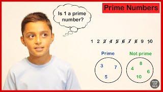 Prime numbers | Prime factors | Maths with Nile