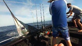 We gonna need a bigger boat! - when Marlin attack - YouFishTV