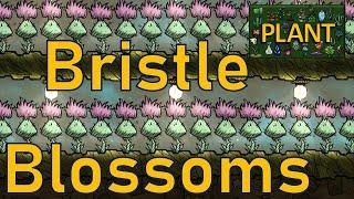 Oxygen Not Included - Plant Tutorial Bites - Bristle Blossoms