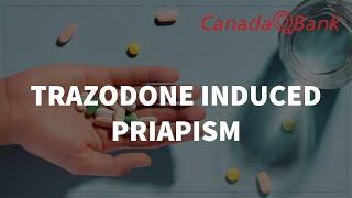 Trazodone-Induced Priapism: Uses, Side Effects & Clinical Vignettes | CanadaQBank